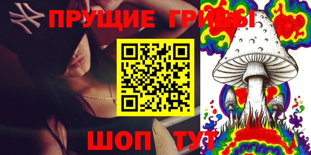 Псилоцибиновые грибы Psilocybine cubensis  Псилоцибиновые грибы мухоморы  Вход с VPN  Серов 